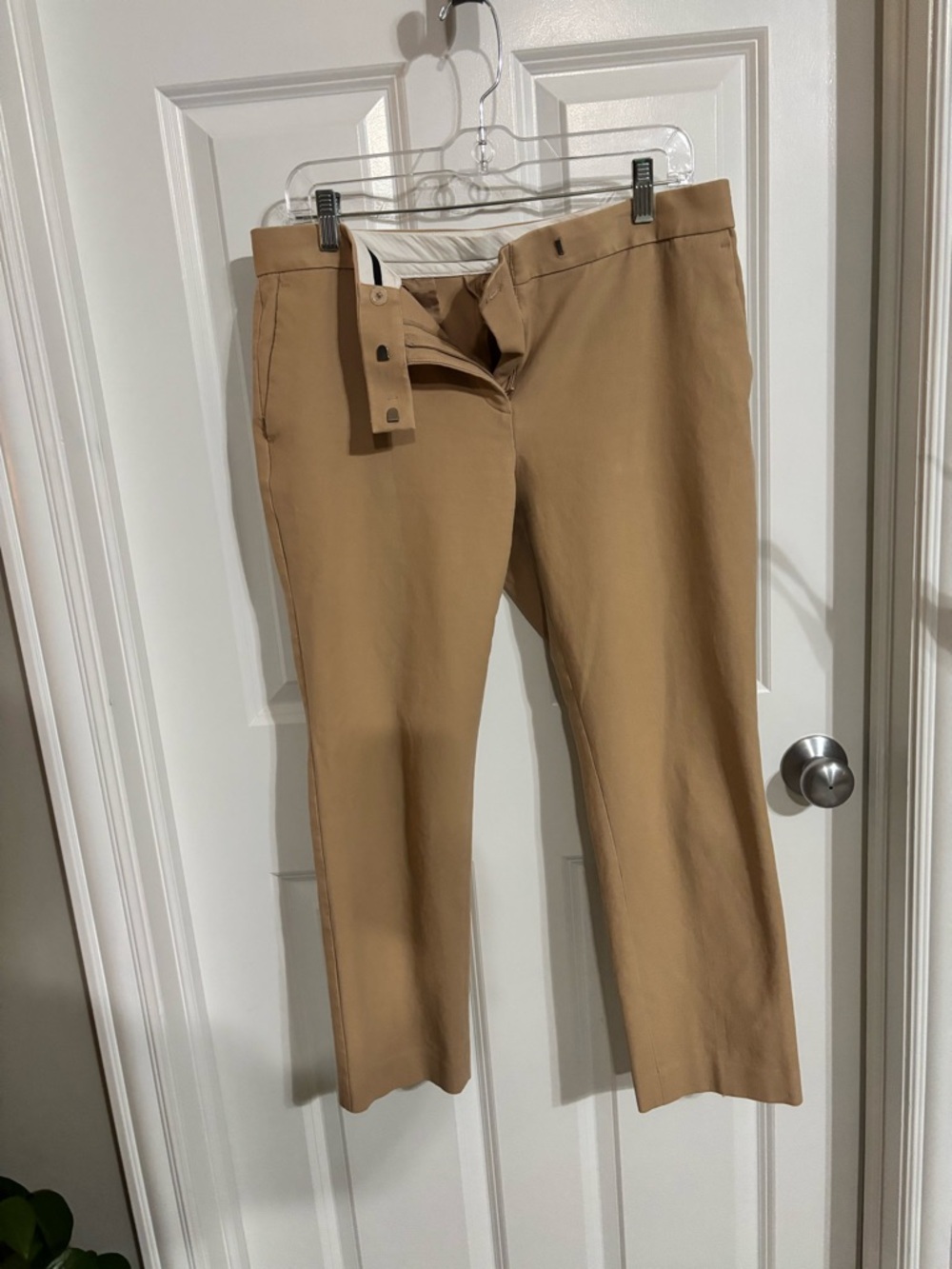Women’s Ann Taylor Cropped Pants